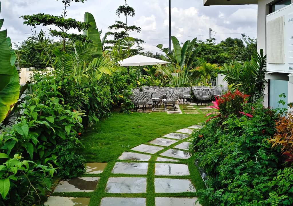 Professional plant installation in Bangalore for lush green landscapes