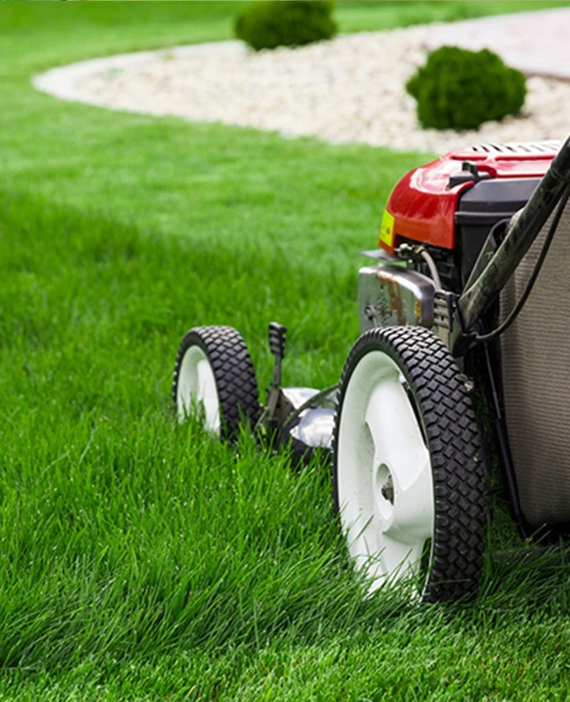 Landscape Maintenance in Bangalore