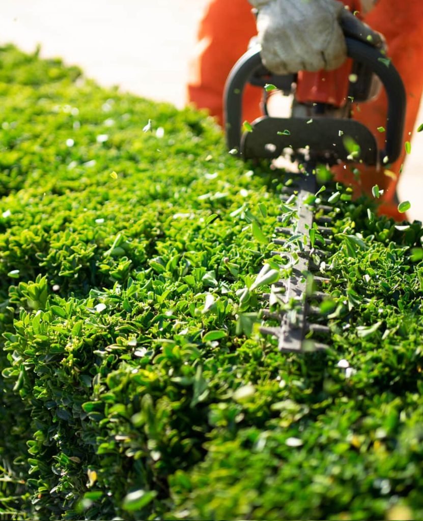 Landscape Maintenance in Bangalore