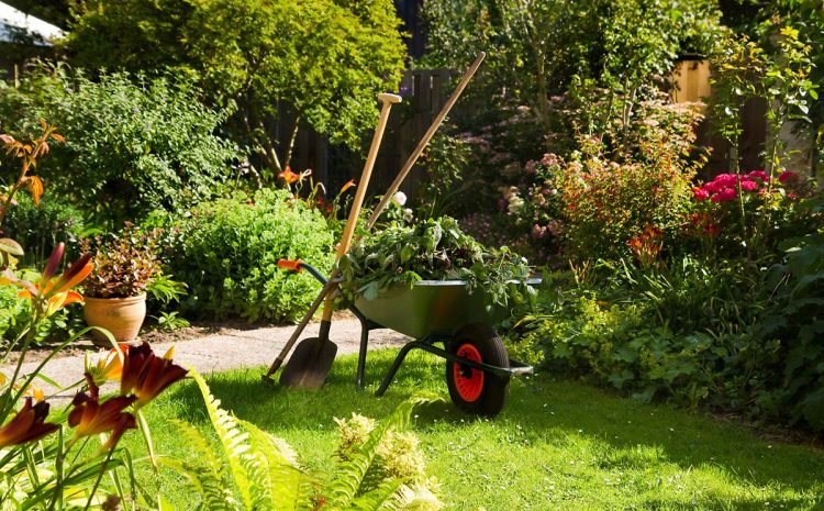 Landscape Maintenance in Bangalore